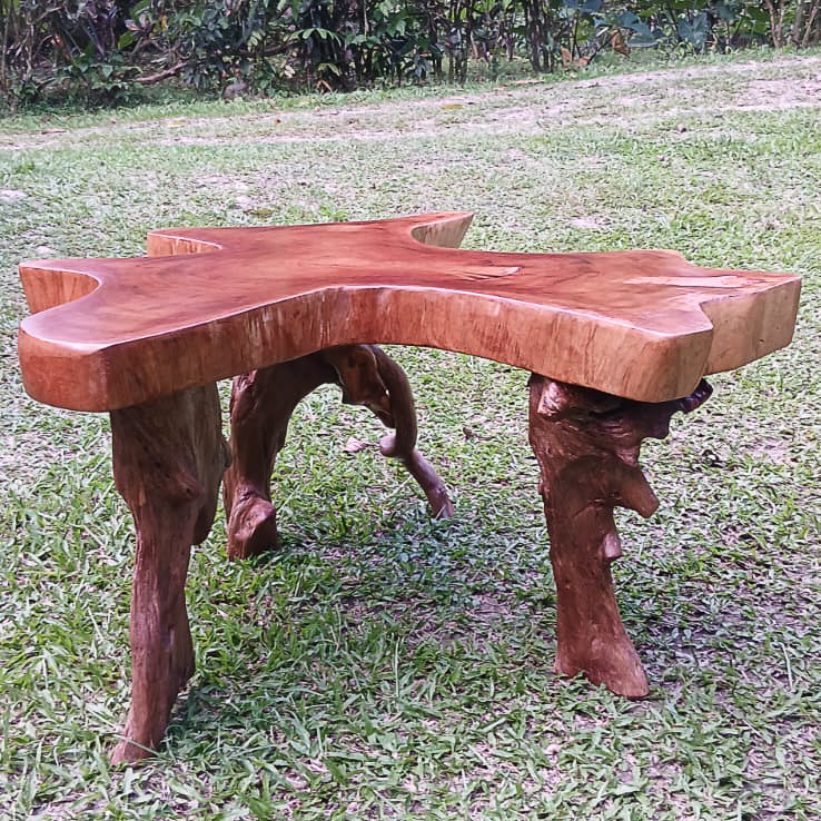 Cedar Root Centre Table 1