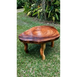 Guango Coffee Table