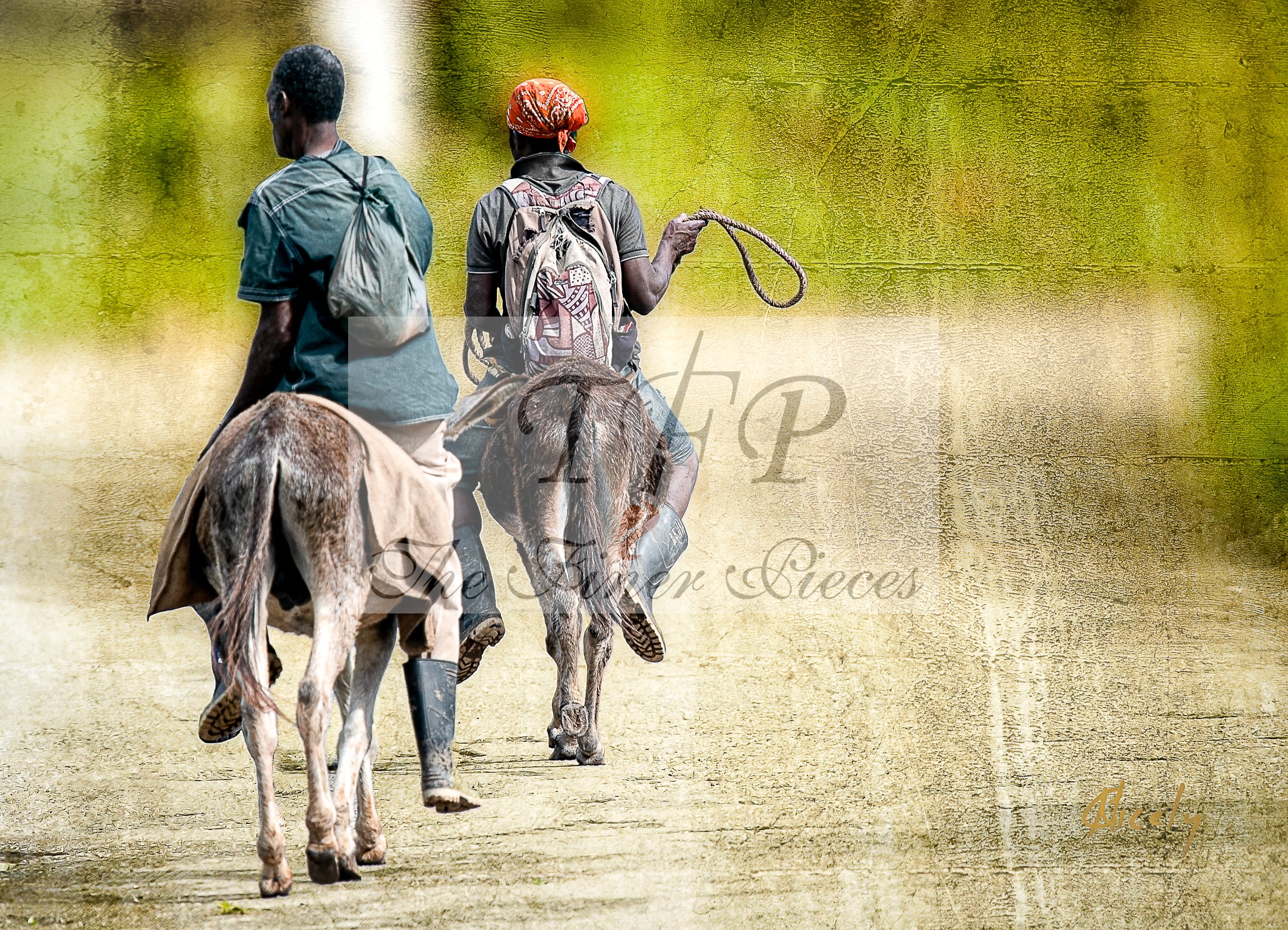 Riding Donkeys
