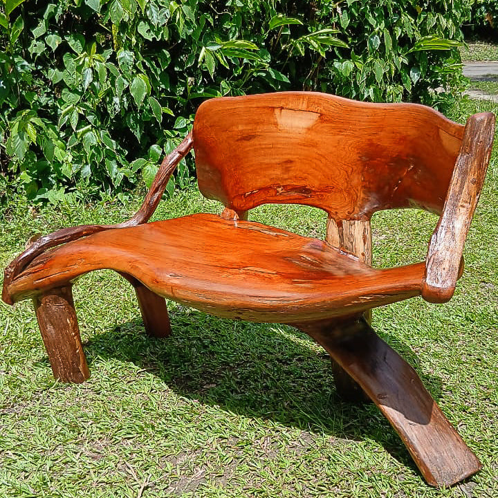 Cedar Root Bench 2