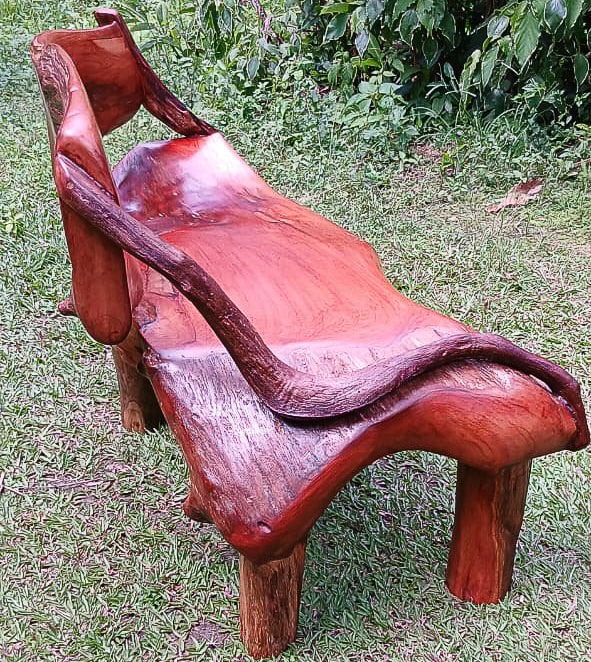 Cedar Root Bench 2