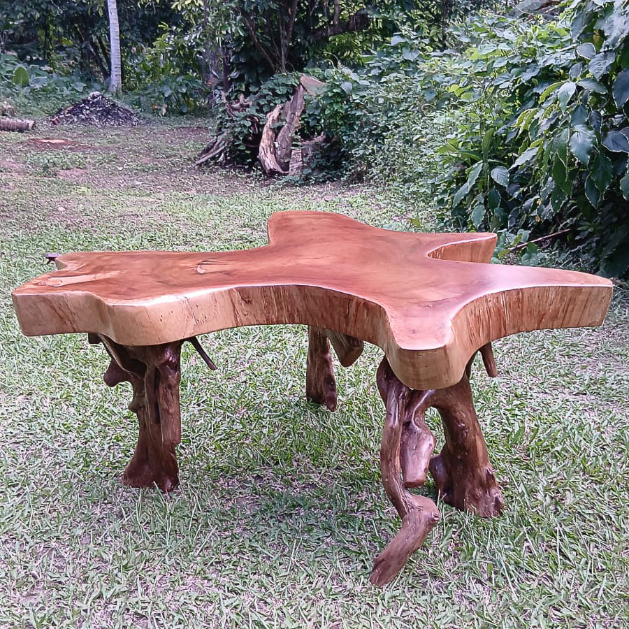 Cedar Root Centre Table 1