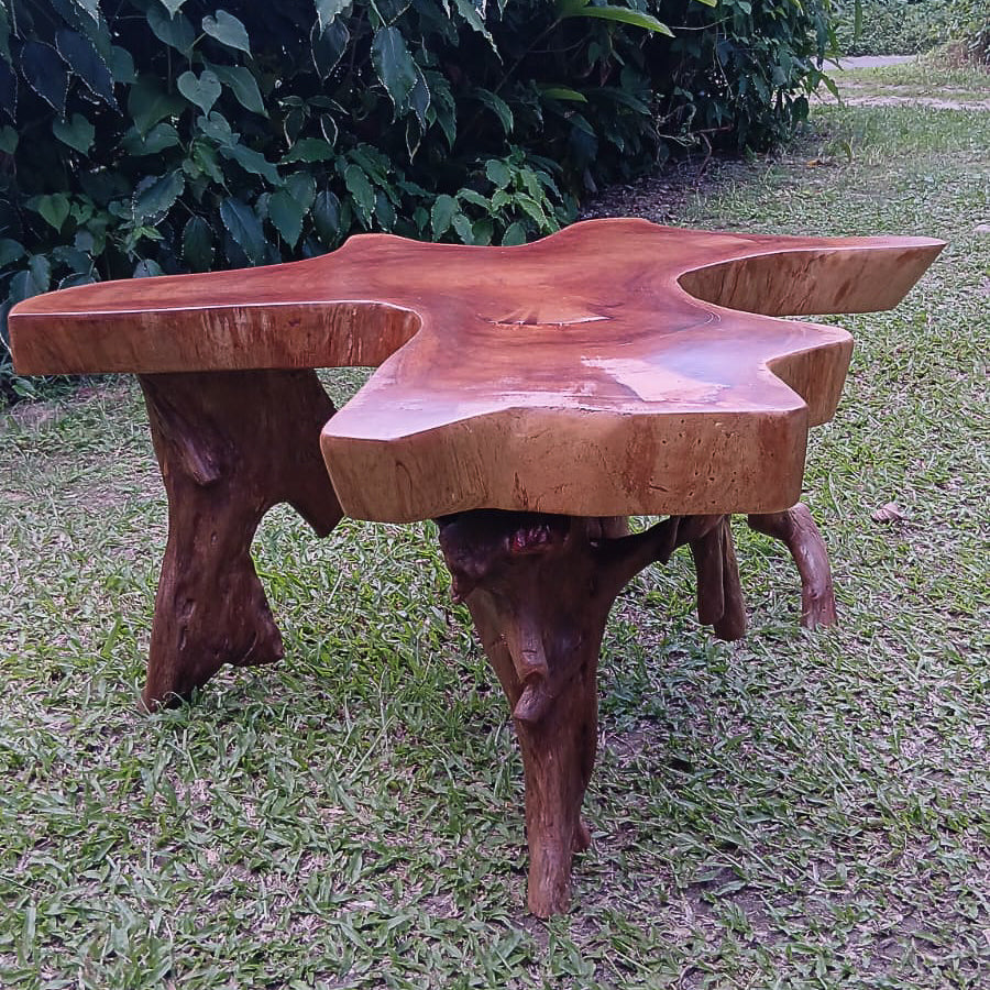 Cedar Root Centre Table 1