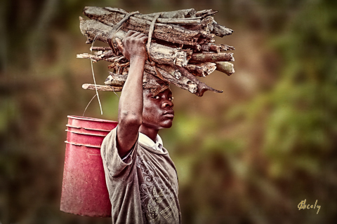 Carrying Wood